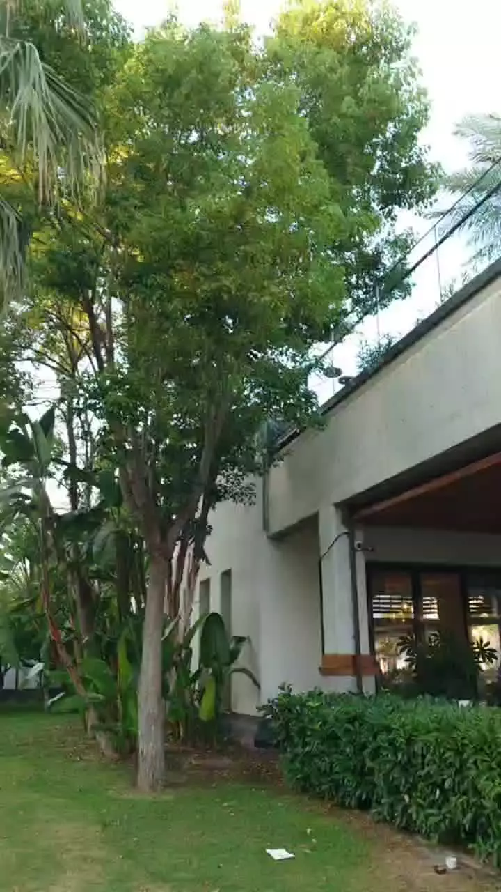video__preview