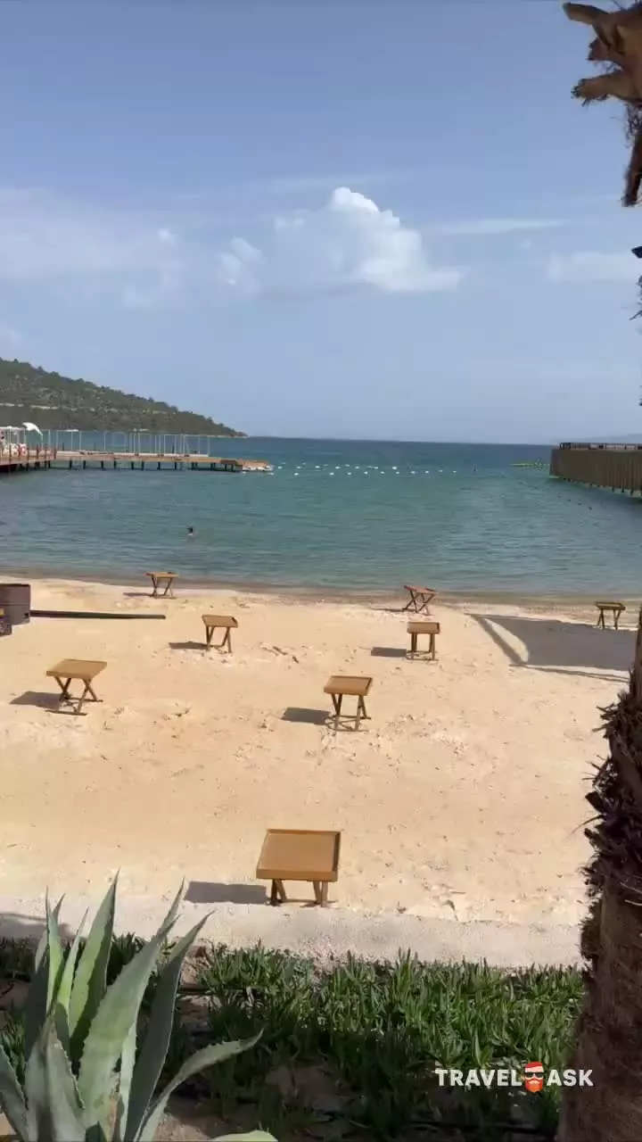 video__preview