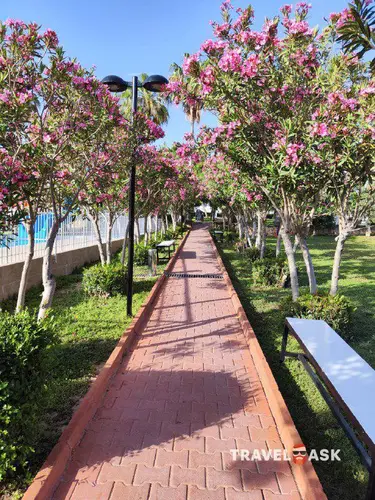 Seher Kumkoy Star Resort & Spa (Ex.Hane Hotel)
