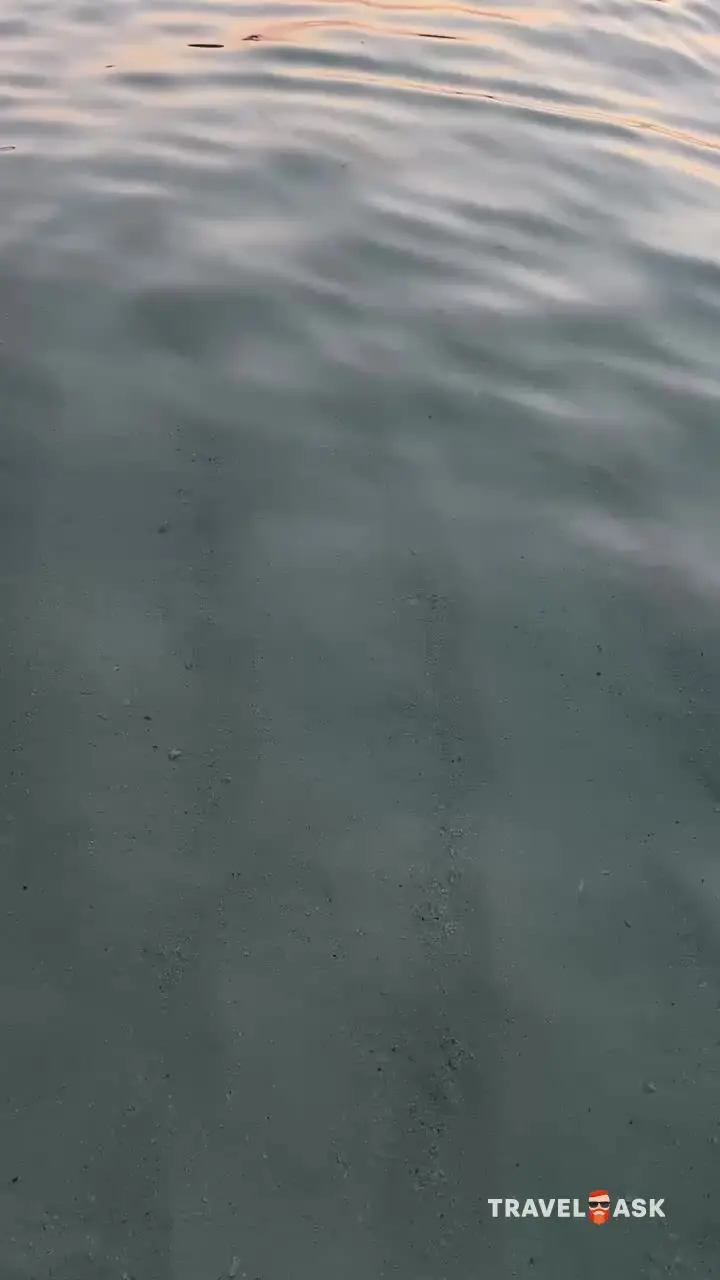 video__preview