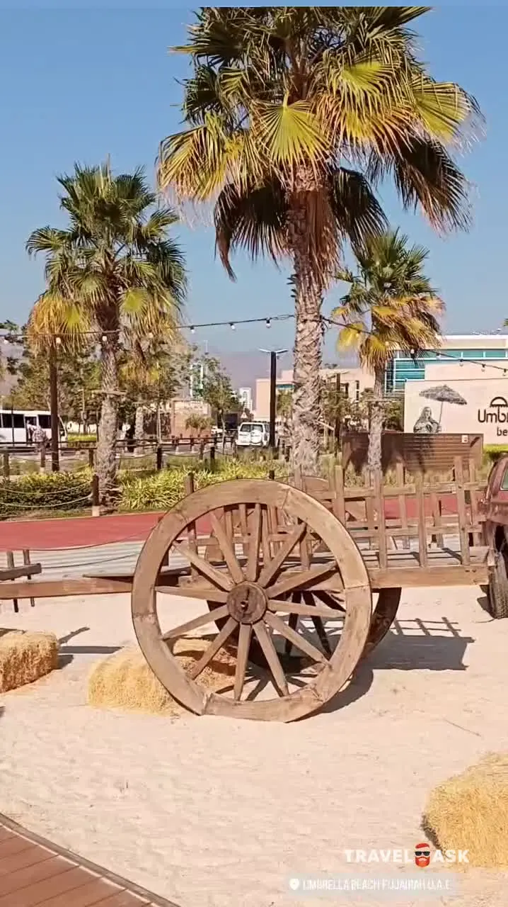video__preview