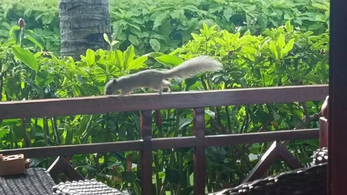 Cham Villas Resort