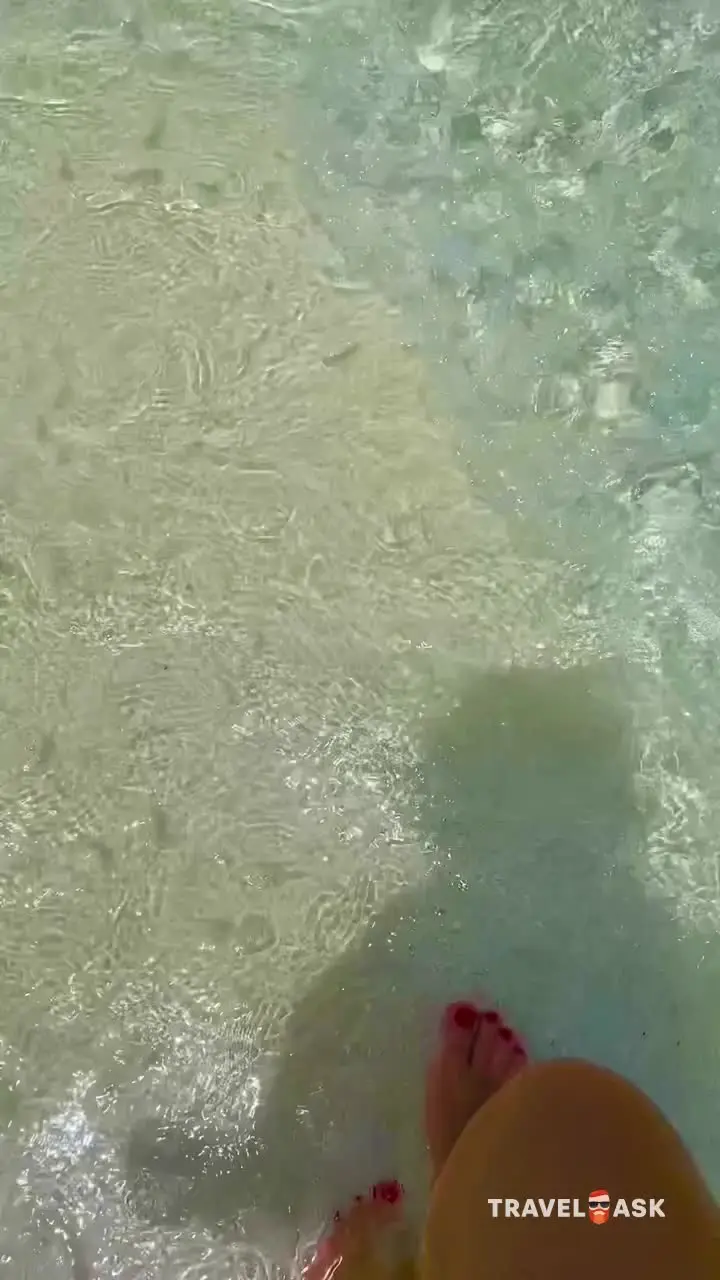 video__preview