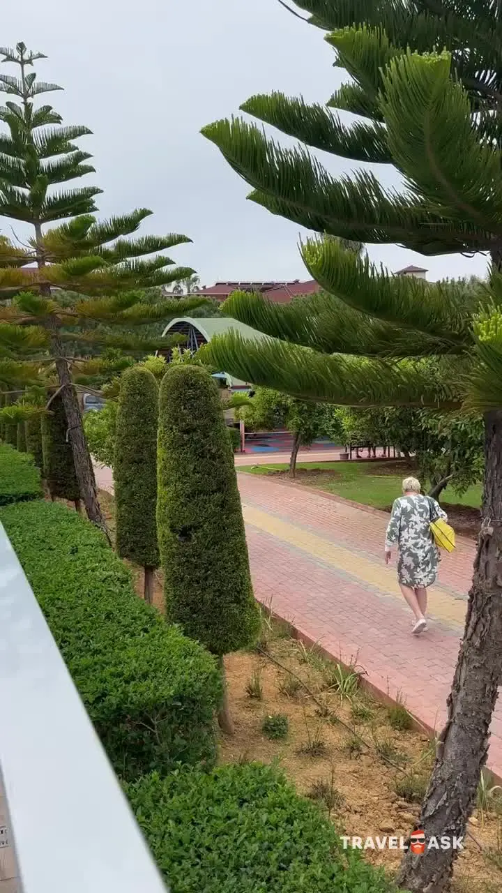 video__preview