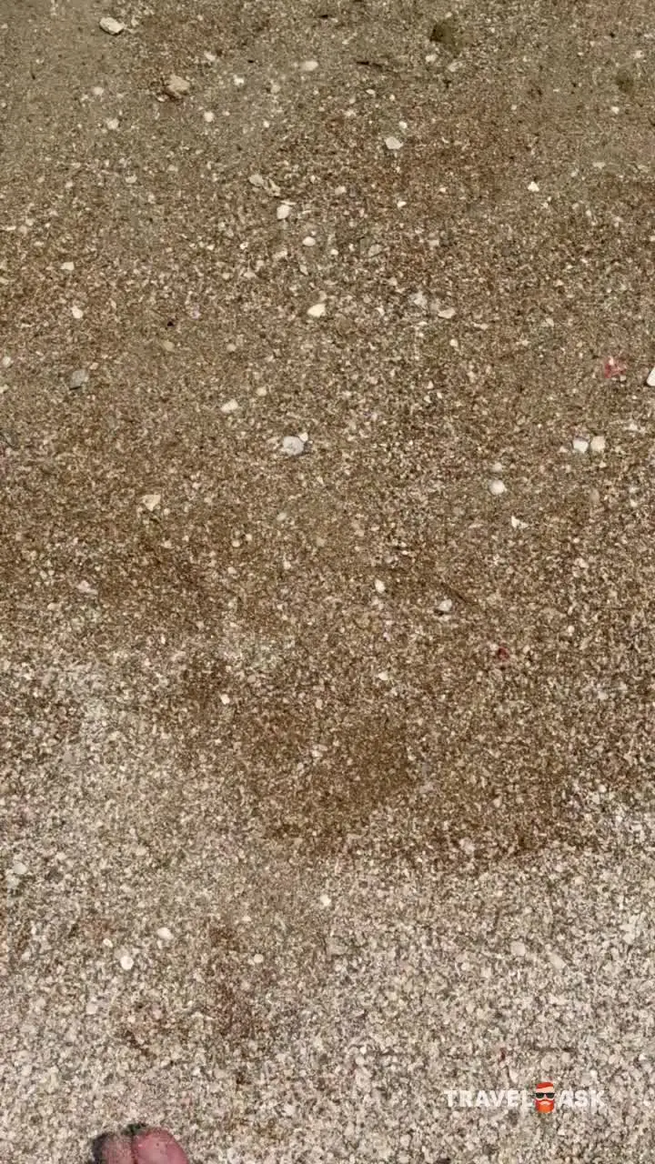 video__preview