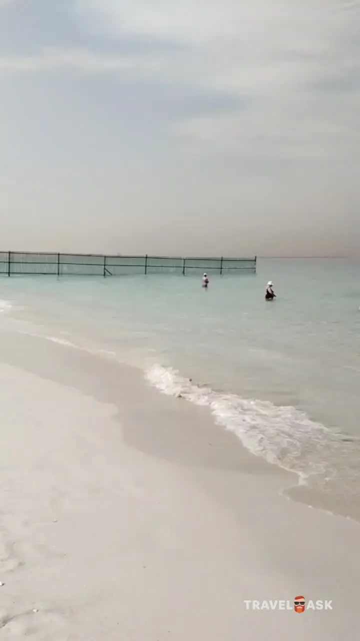 video__preview