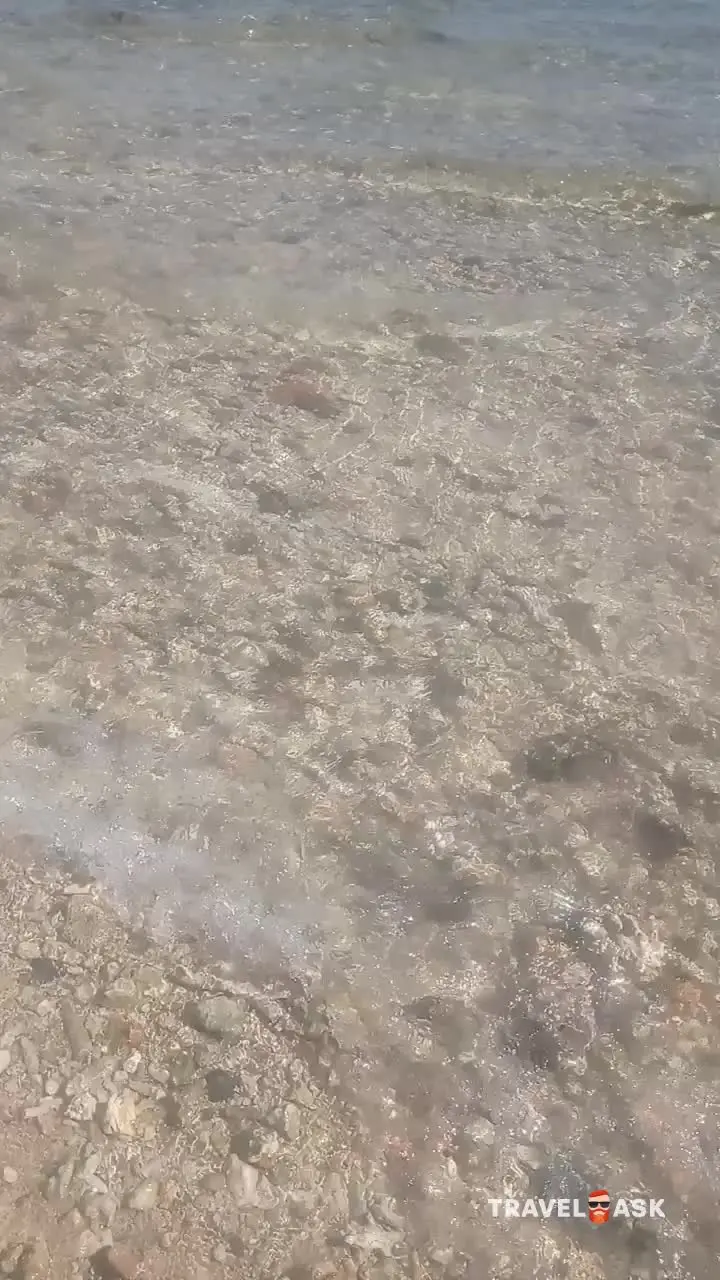 video__preview
