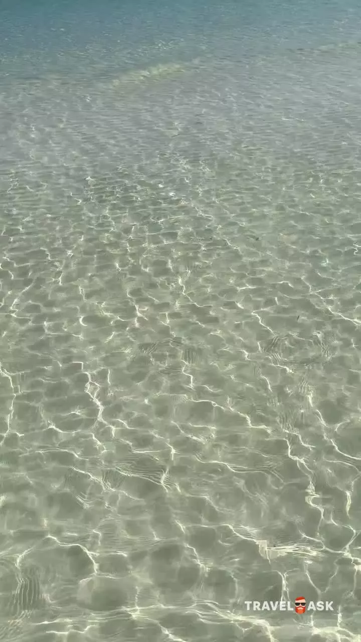 video__preview