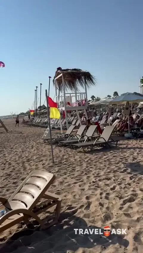 video__preview