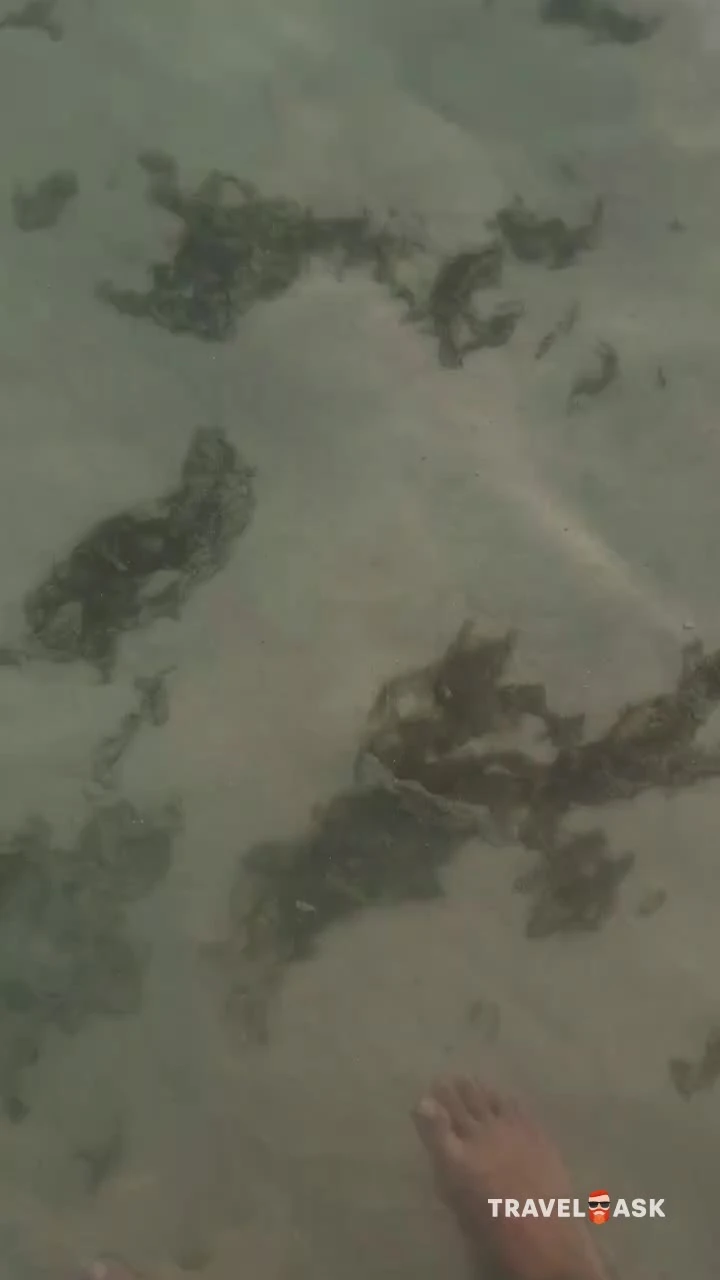 video__preview