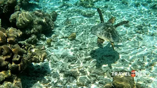 Furaveri Island Resort & Spa