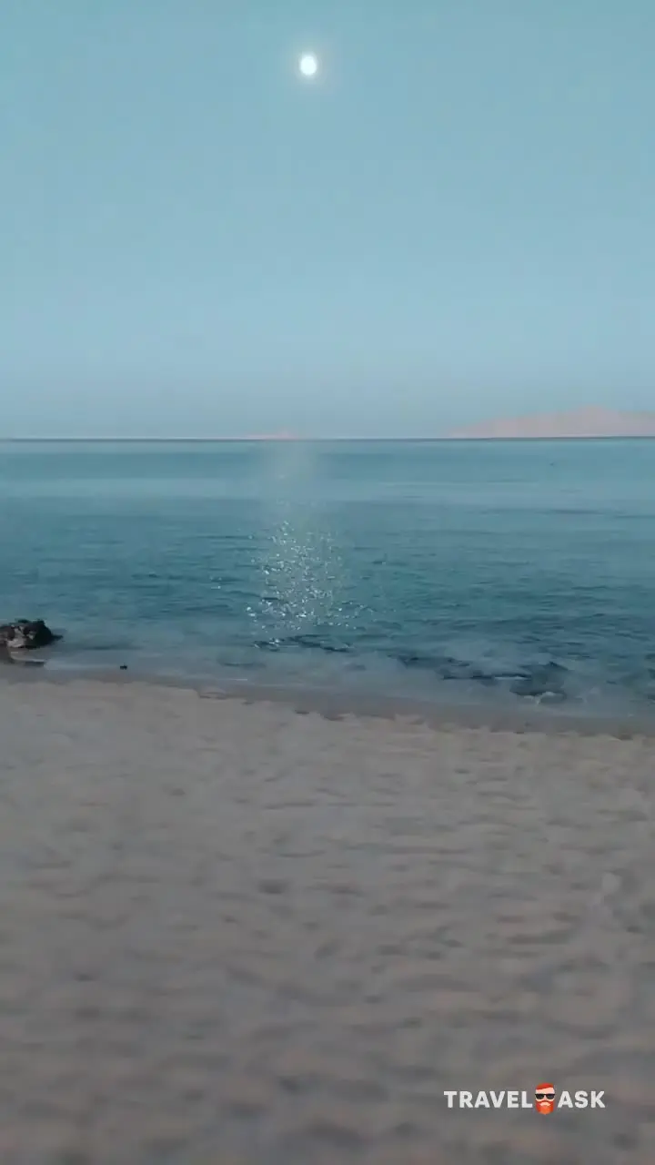 video__preview