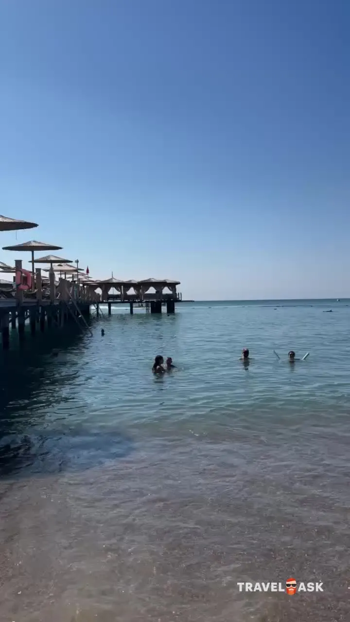 video__preview