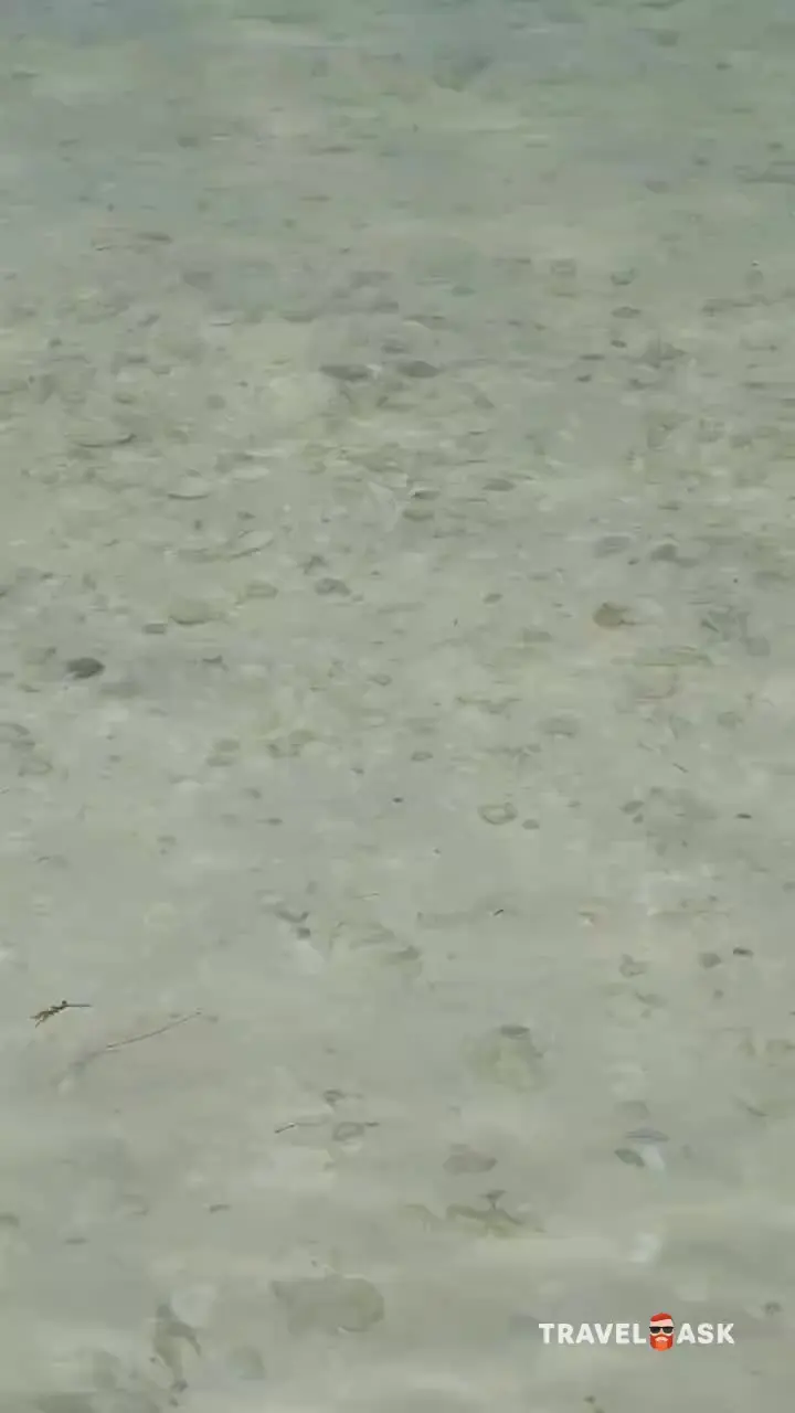 Playa Paraiso ( Ex. Pestana Cayo Coco Hotel)