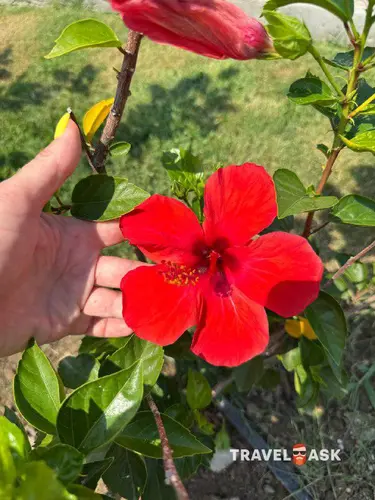 Dobedan Exclusive Hotel & Spa (Ex. Alva Donna Exclusive Hotel & Spa)