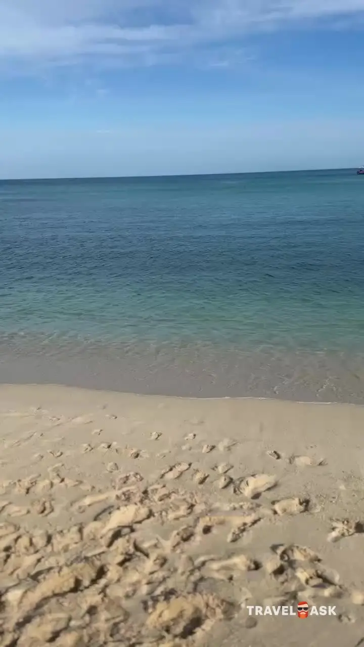 video__preview