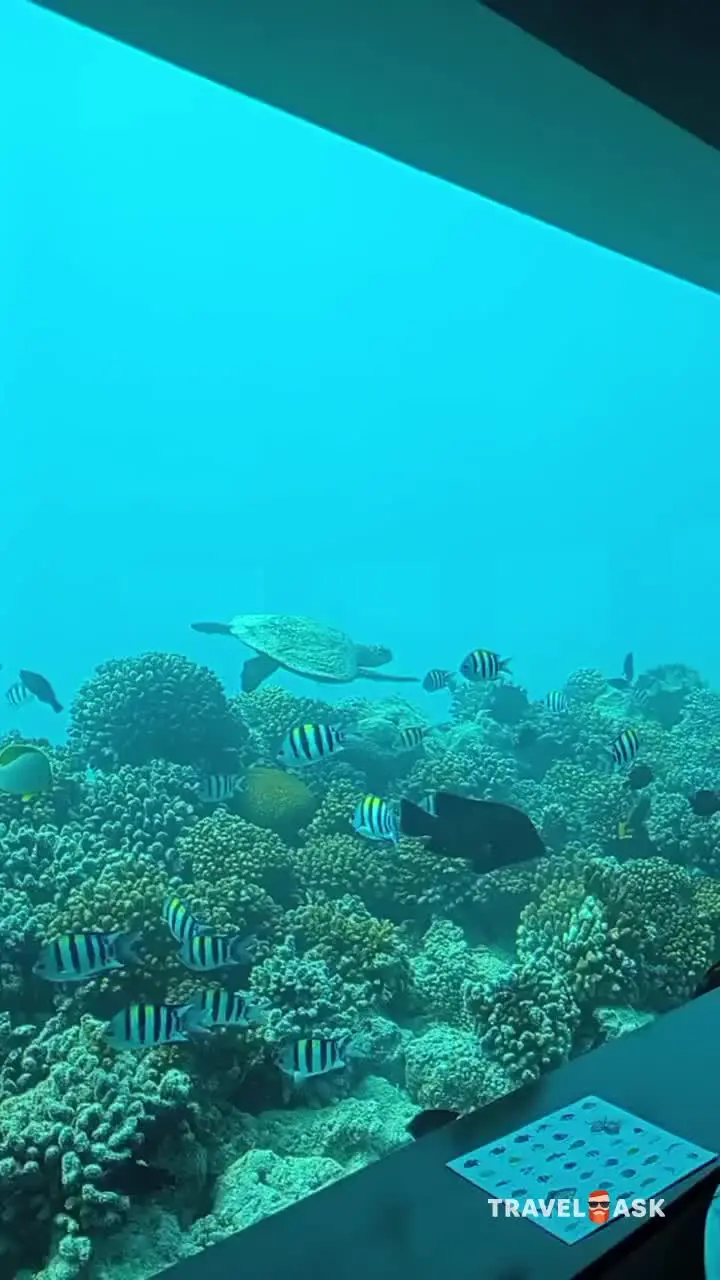 Oblu Xperience Ailafushi