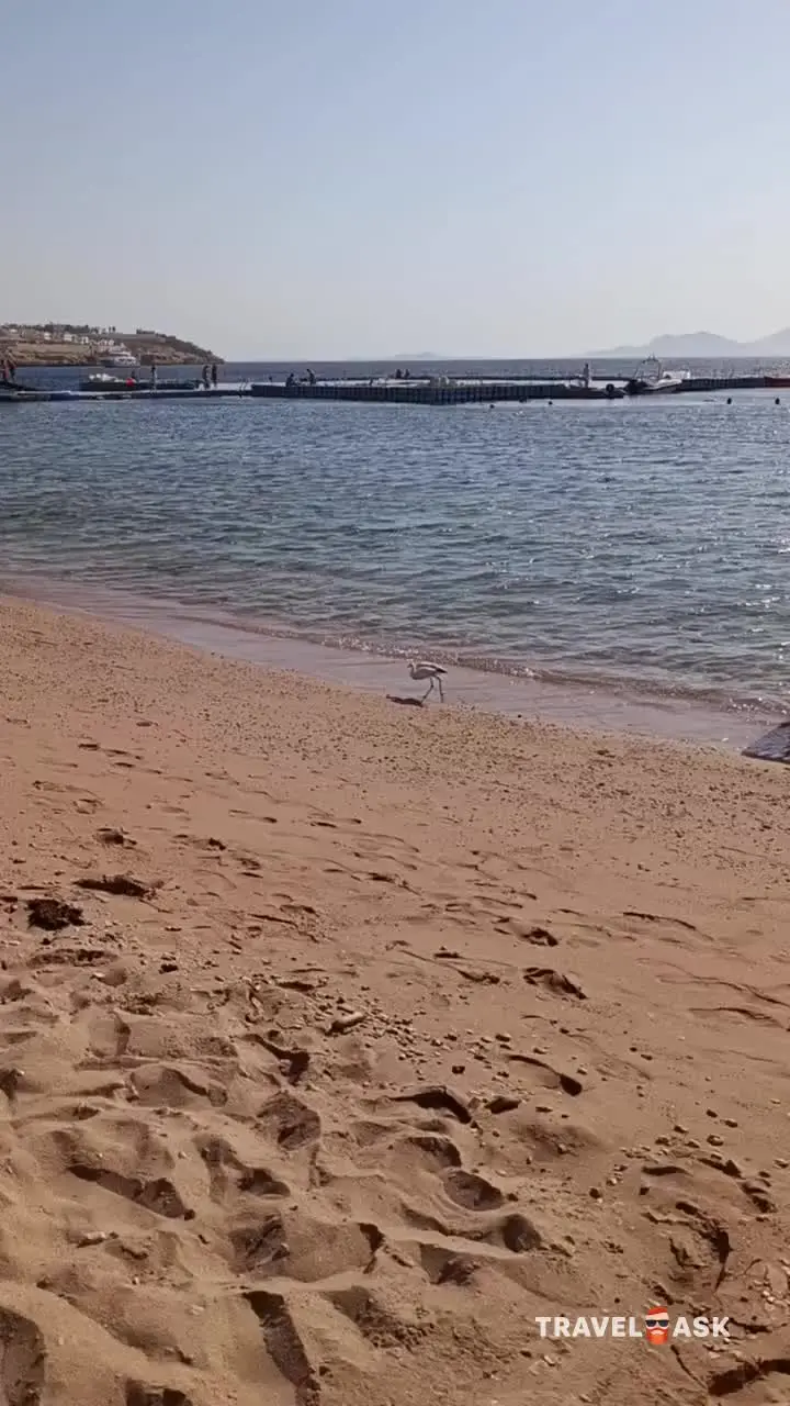 Domina Coral Bay Aquamarine Beach