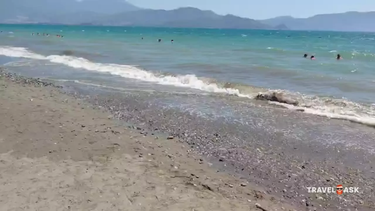 video__preview