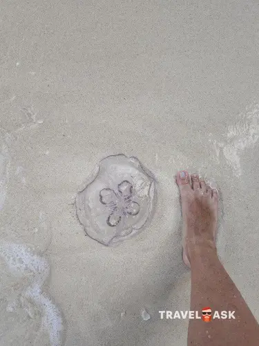 Playa Paraiso ( Ex. Pestana Cayo Coco Hotel)