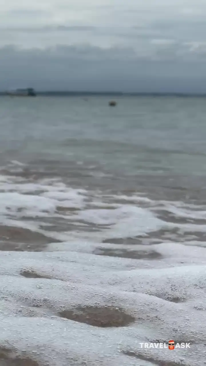 video__preview