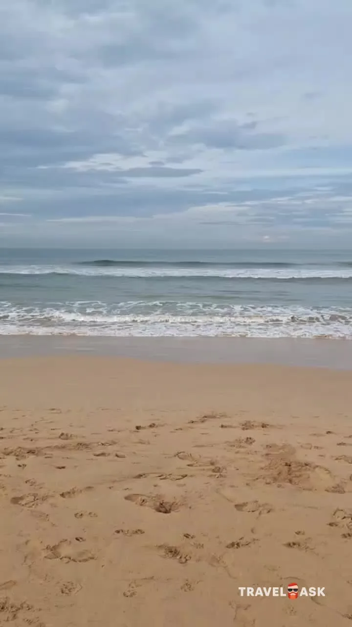 video__preview