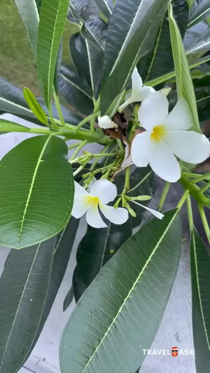 Amaya Beach Resort & Spa (Ex. Centara Passikudah Resort & Spa)