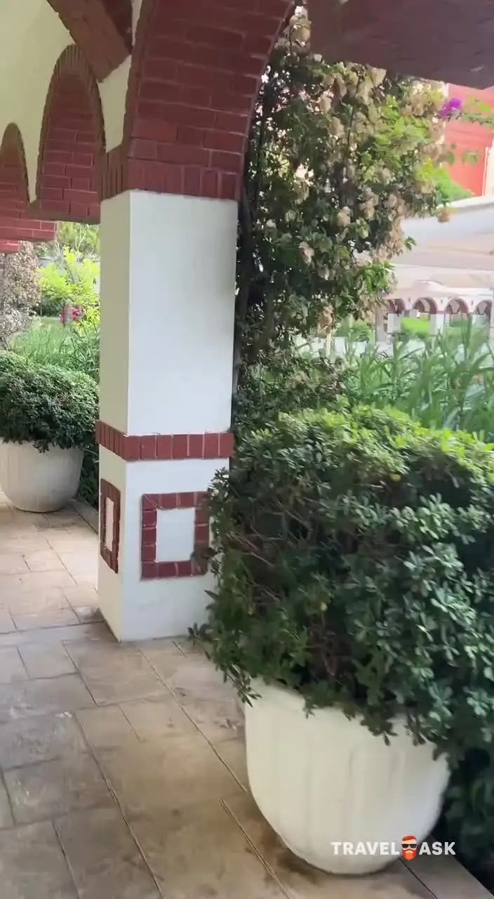 video__preview