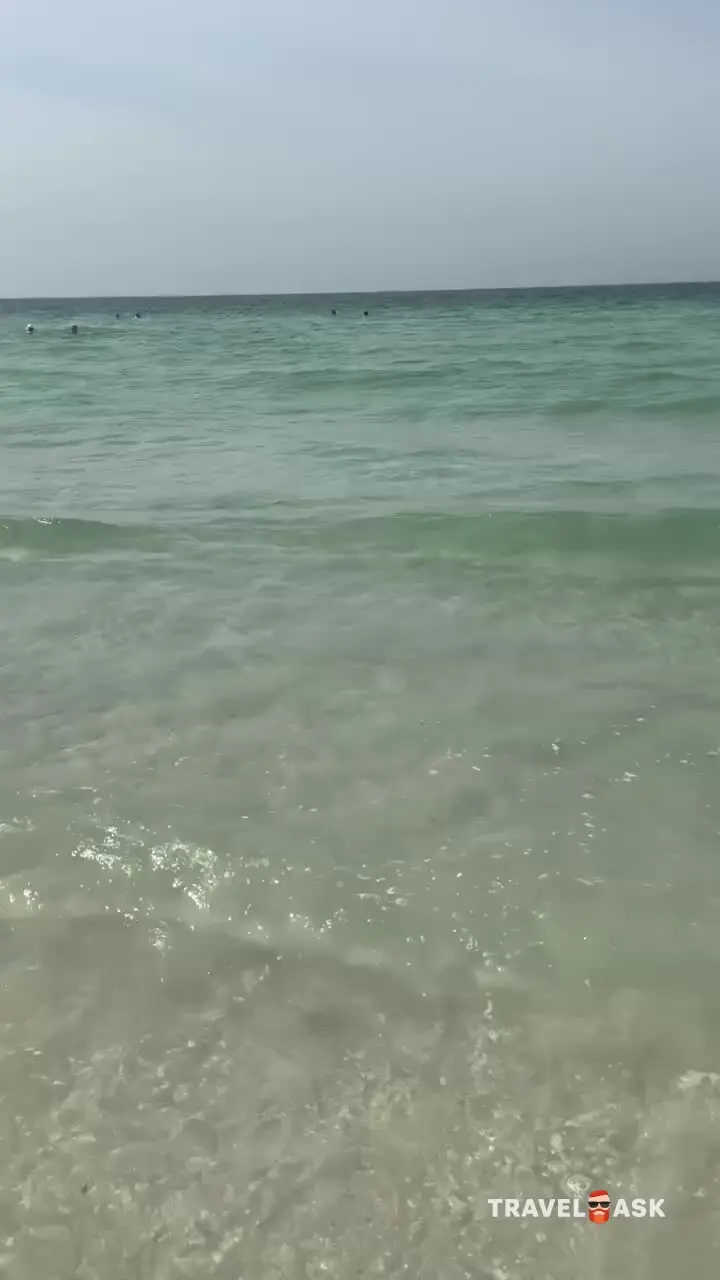 video__preview