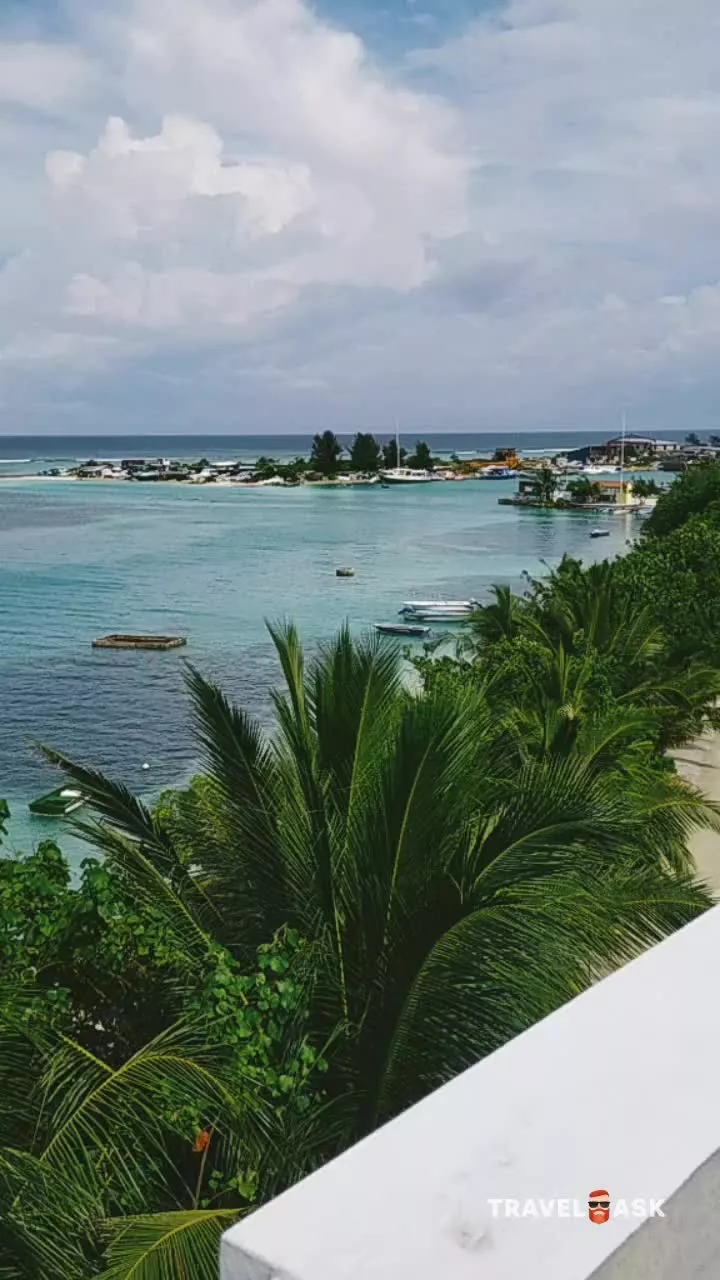 Rashu Hiyaa