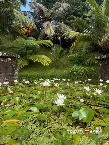 The Payogan Villa Resort & Spa