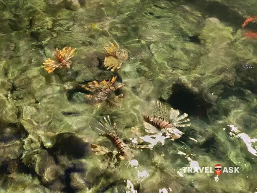 Xperience Sea Breeze Resort