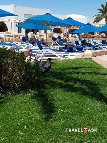 Mercure Hurghada