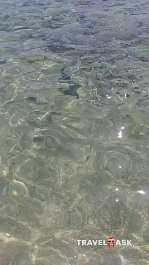 video__preview