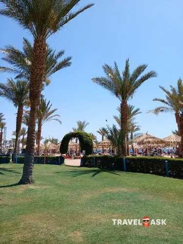 Jaz Sharm Dreams
