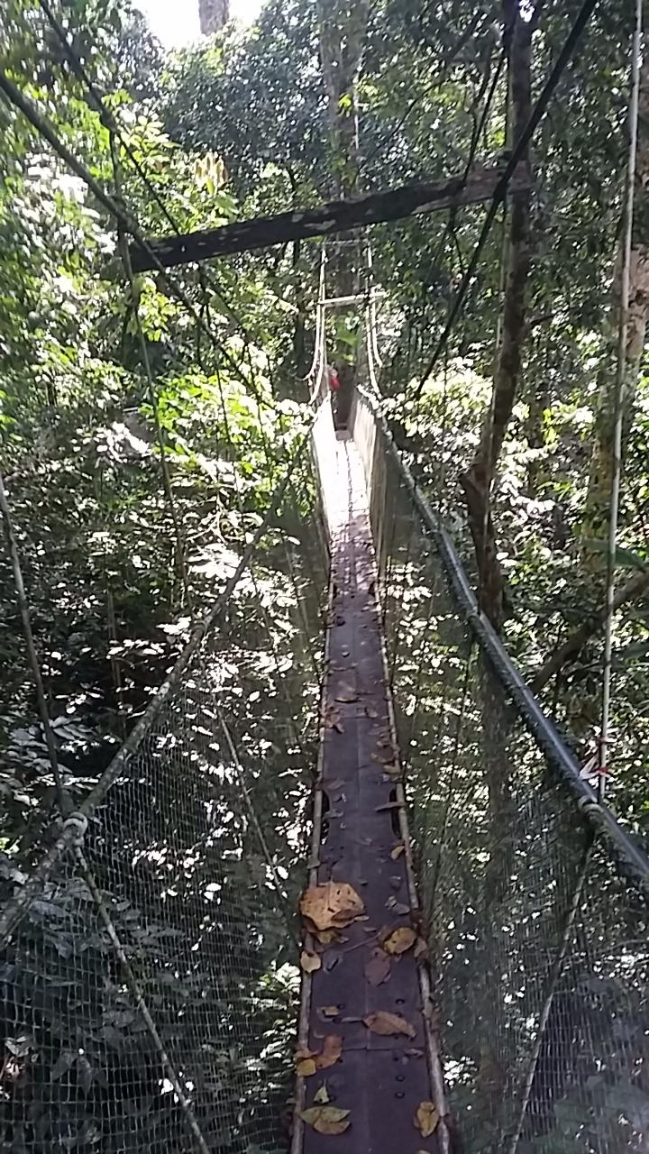 @question.title