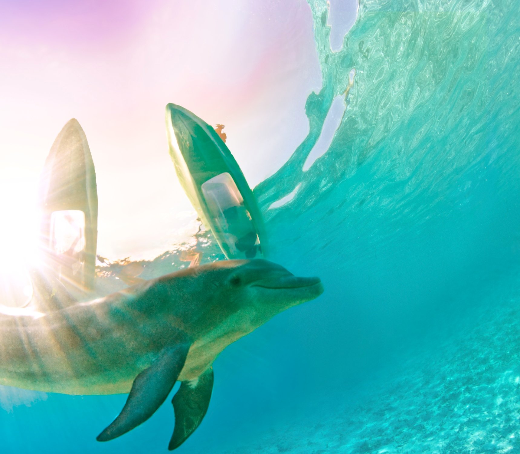Дельфинарий Dolphin Cay