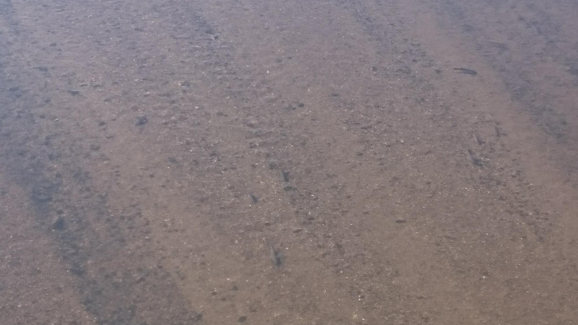 @question.title