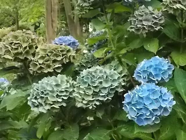 @question.title