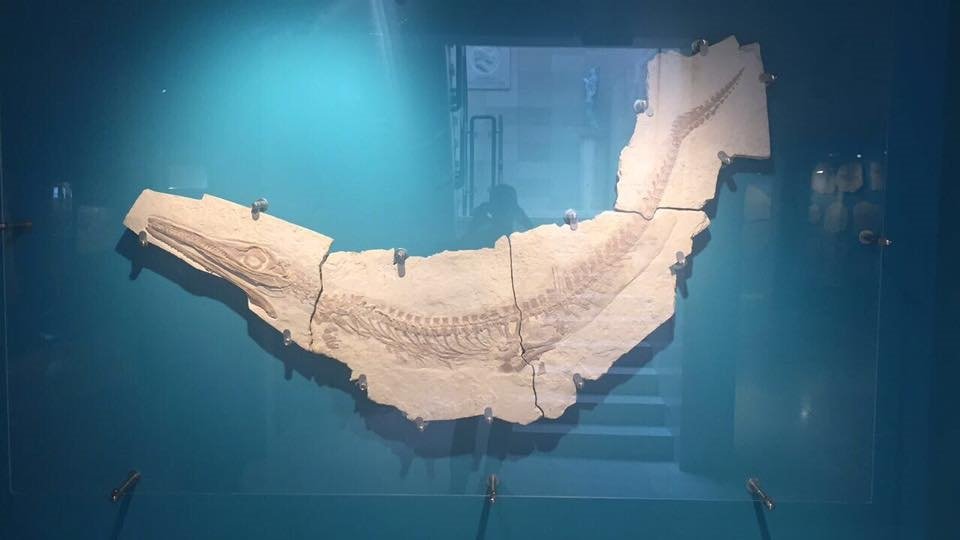 @question.title