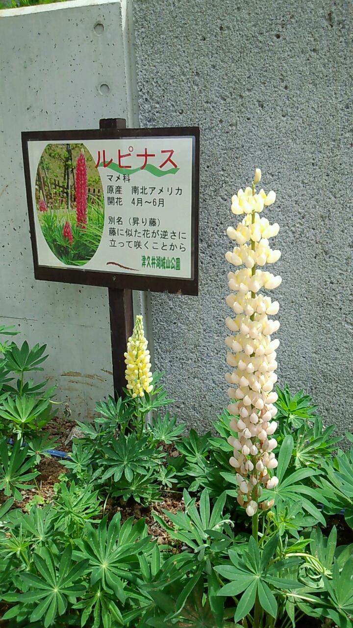 @question.title