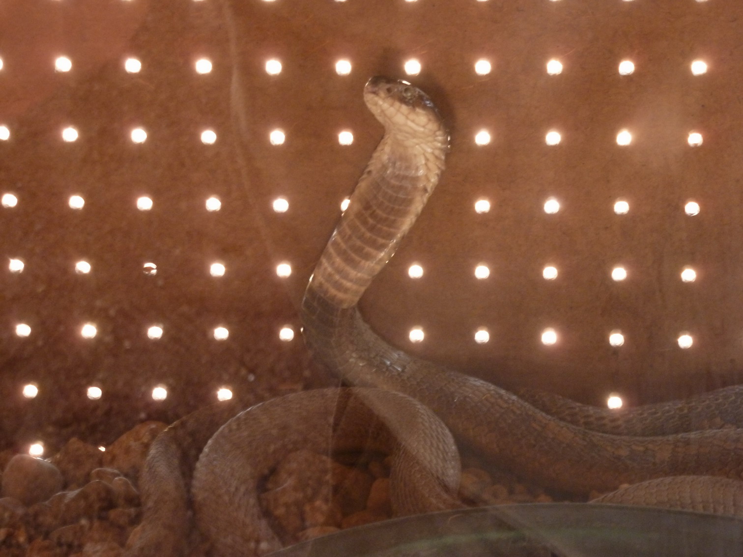 Заповедник CARACAL Biodiversity Center