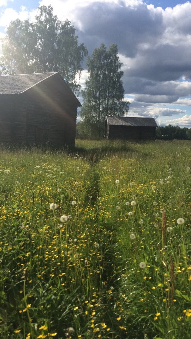@question.title