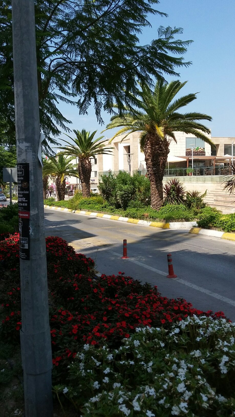 @question.title