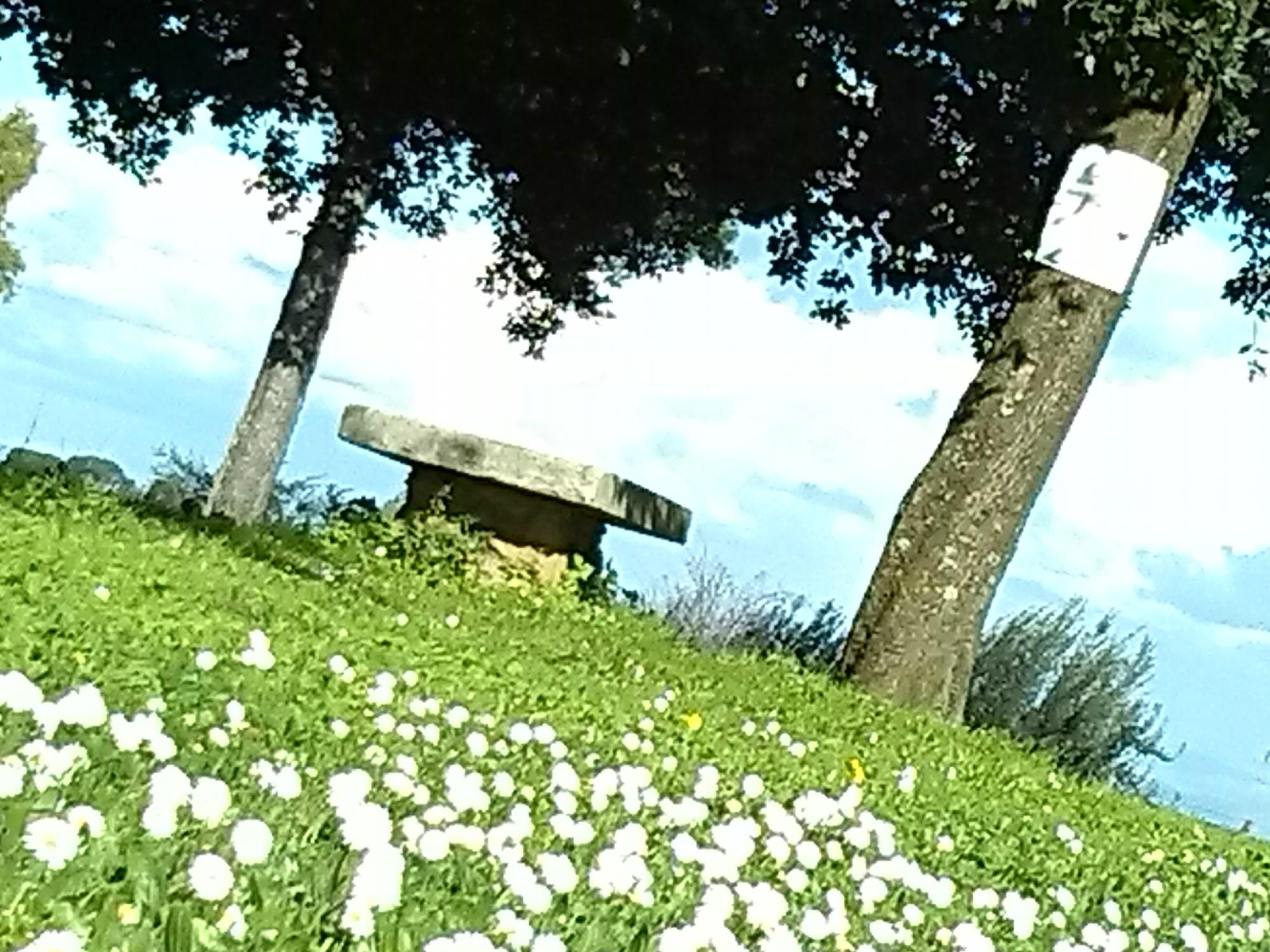 @question.title