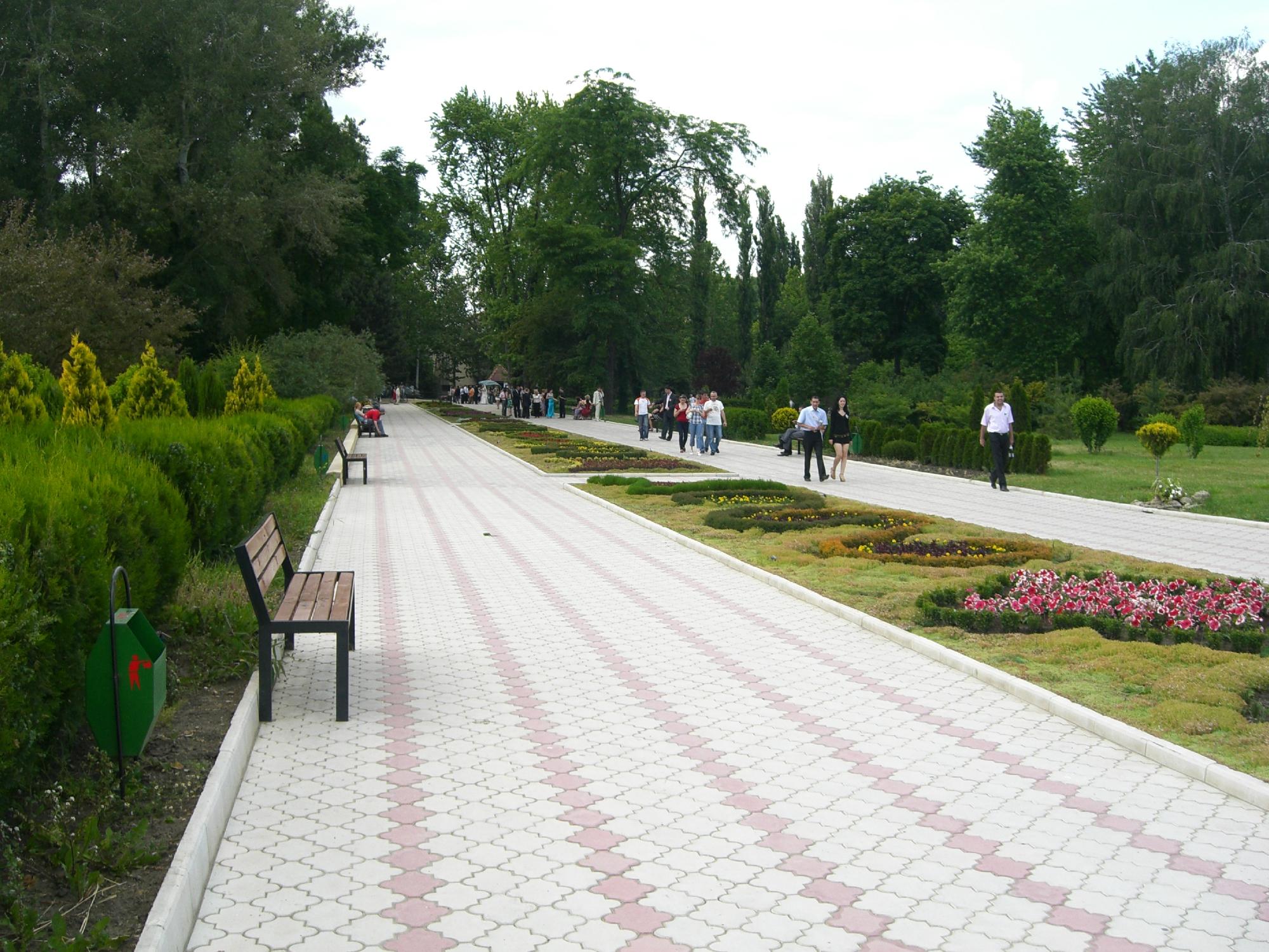 Парк Дендрарий