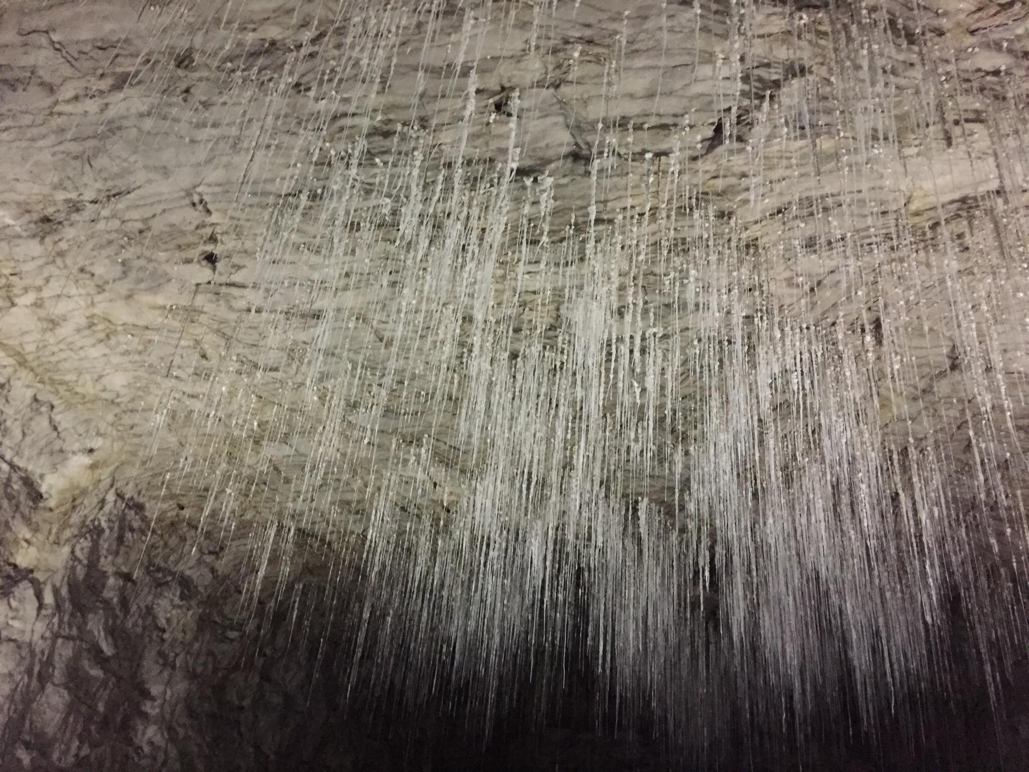 @question.title
