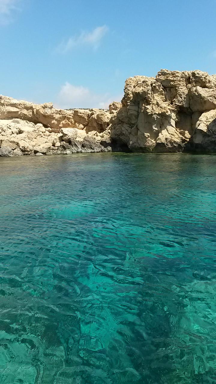 @question.title
