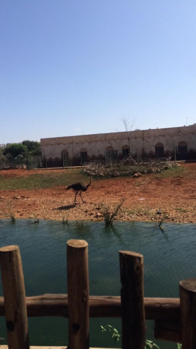 @question.title