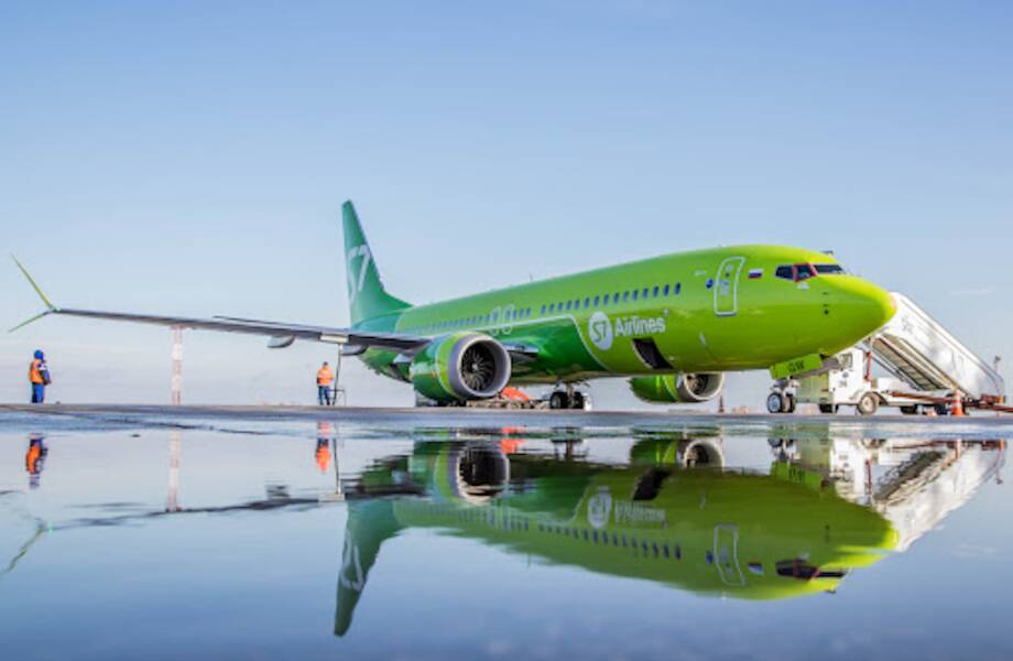 S7 Airlines запустила онлайн-регистрацию для пассажиров с животными